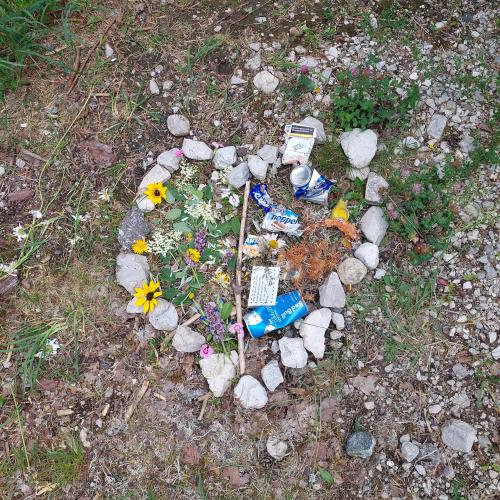 Naturmandalas_2024