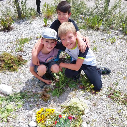 Naturmandalas_2024