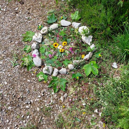 Naturmandalas_2024