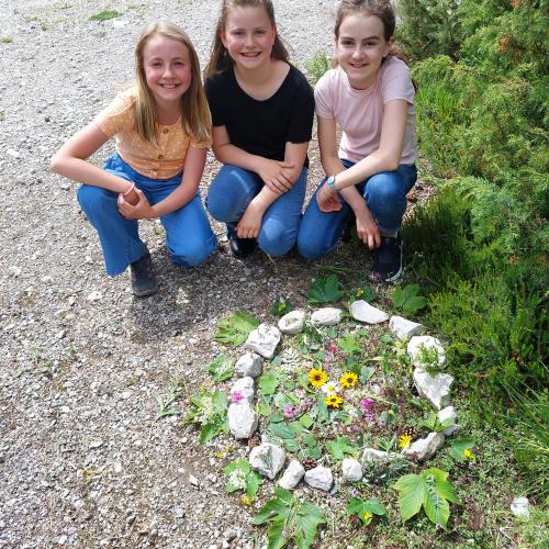 Naturmandalas_2024